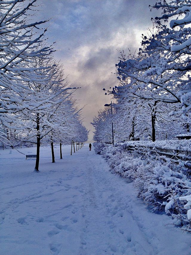 Winter wonder