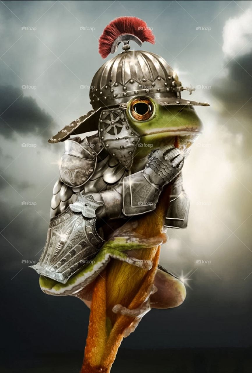 Quando un grafico si annoia