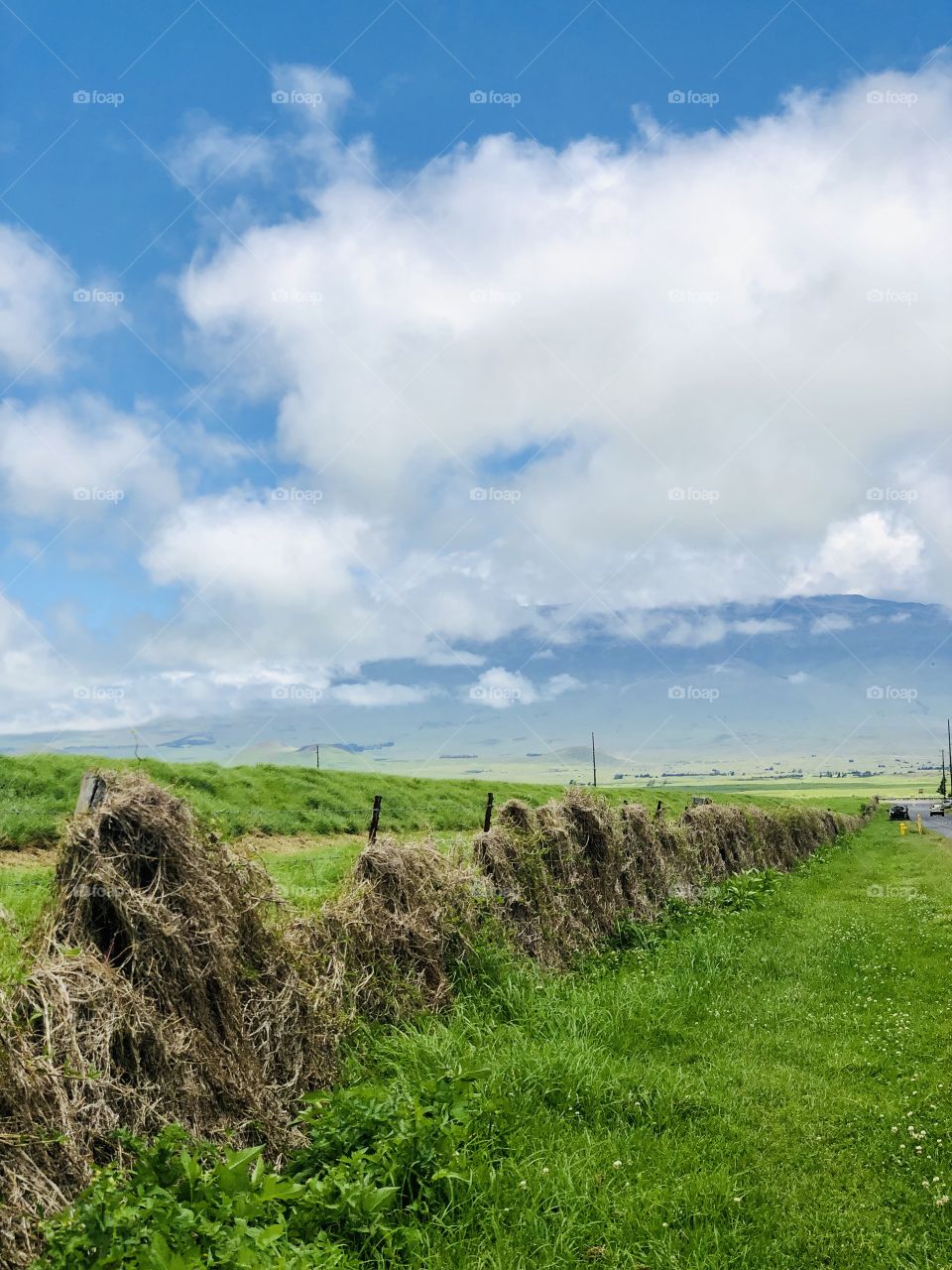 Upcountry Big Island