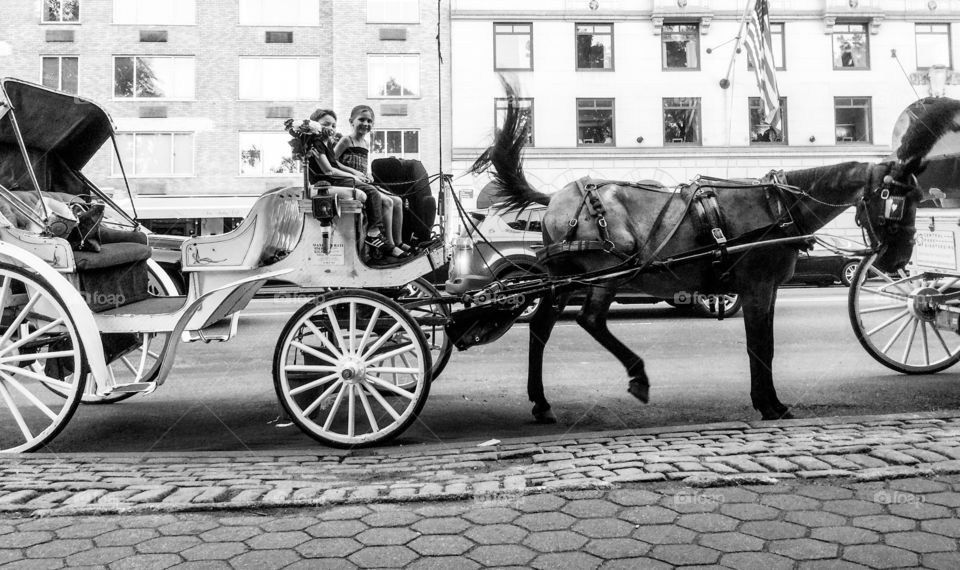 Children sitting in horse cart on city street