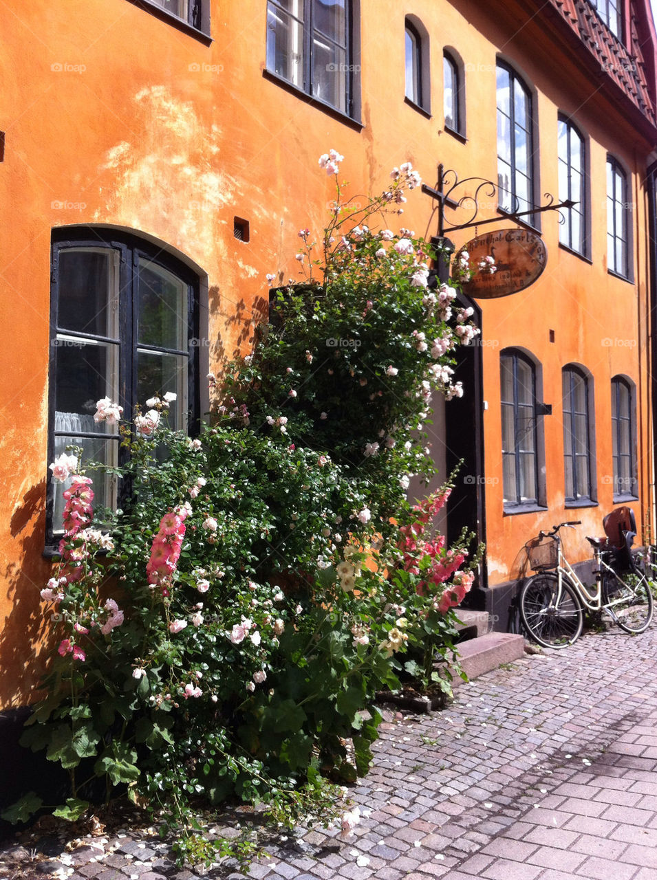 malmö sweden flowers city by tango