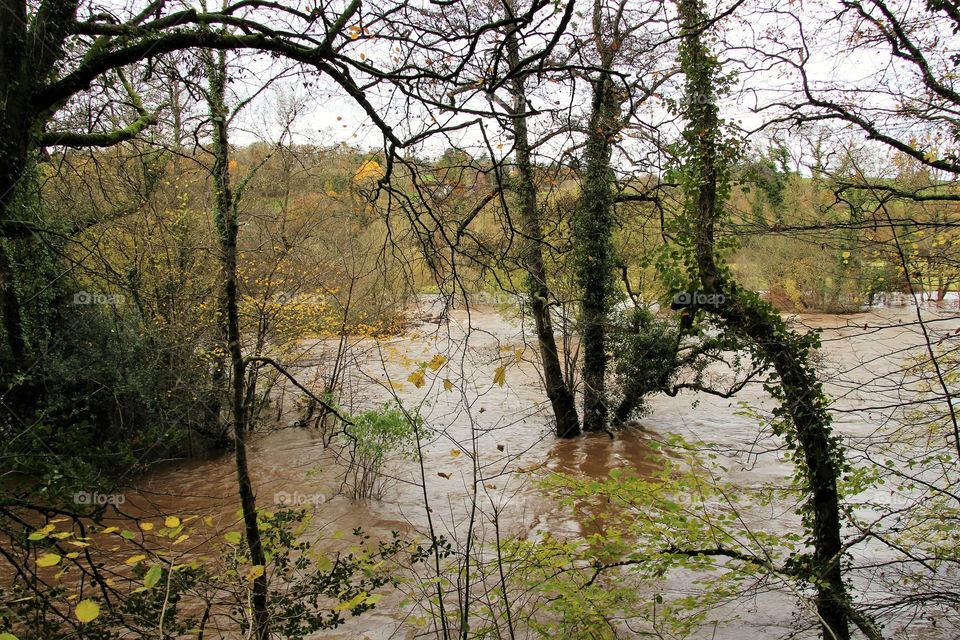 flood water