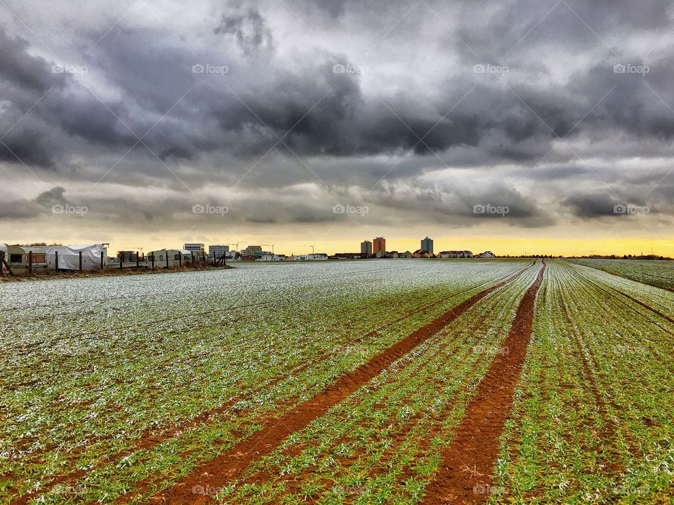 Frost covered countryscape in Ulm