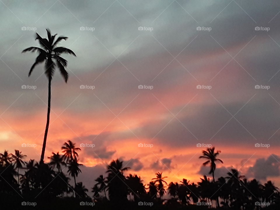 golden sunset in the Dominican Republic