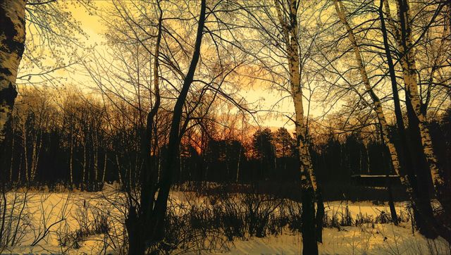 Sunrise