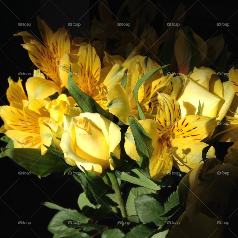 Yellow flowers in sunlight. Yellow flowers