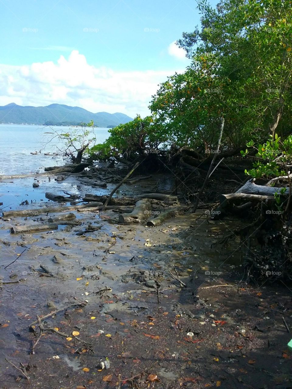 A entrada para o oceano.