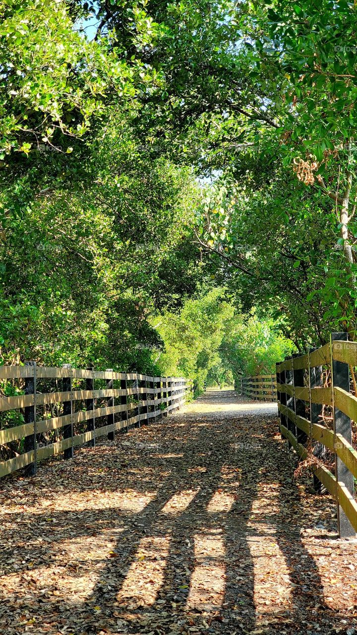 Natural and quiet path