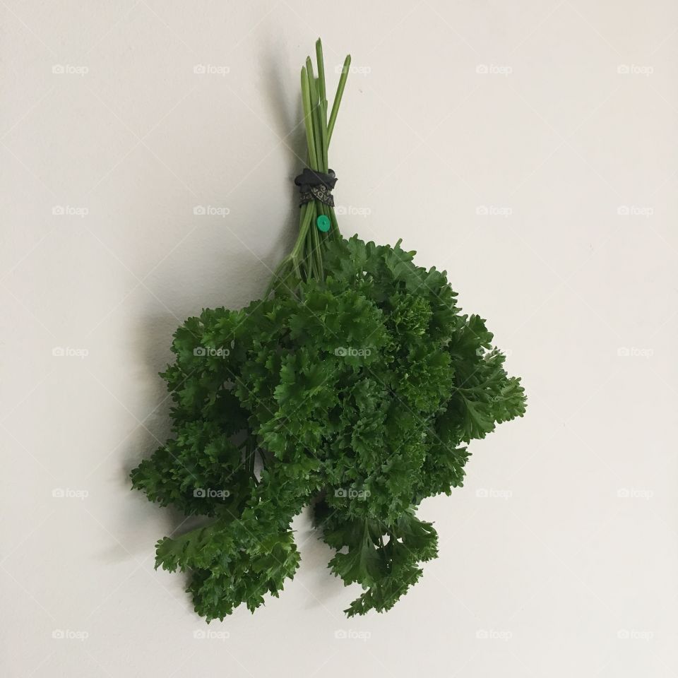 Drying parsley