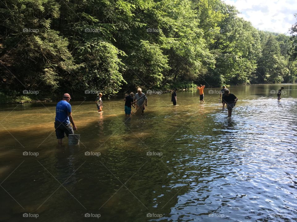 Water, River, Recreation, Lake, Tree