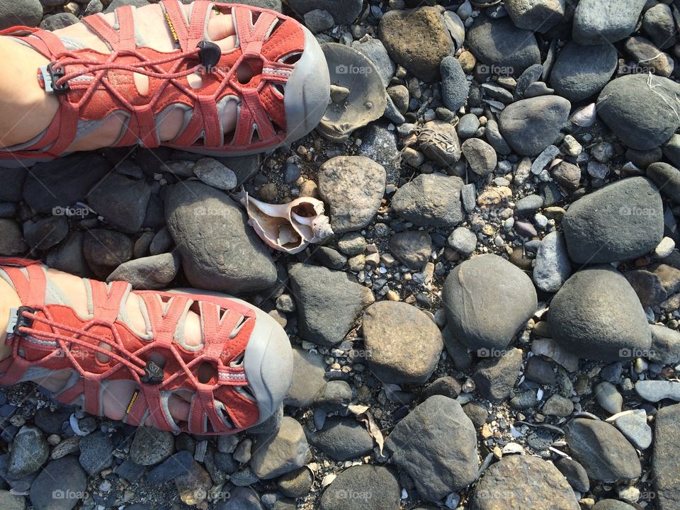 It's summer time, beaching it!