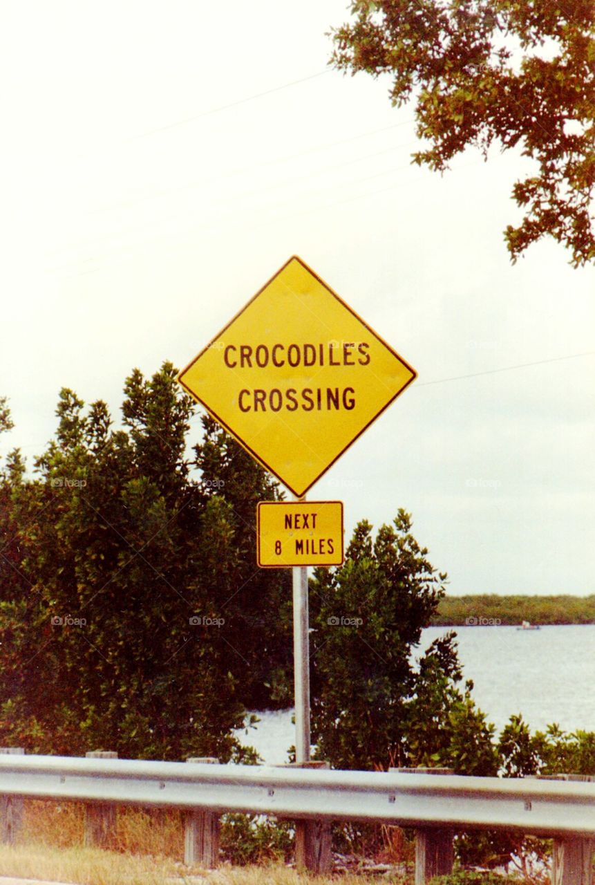 Crocodiles Crossing sign. Crocodiles crossing sign Highway US1 The Florida Keys