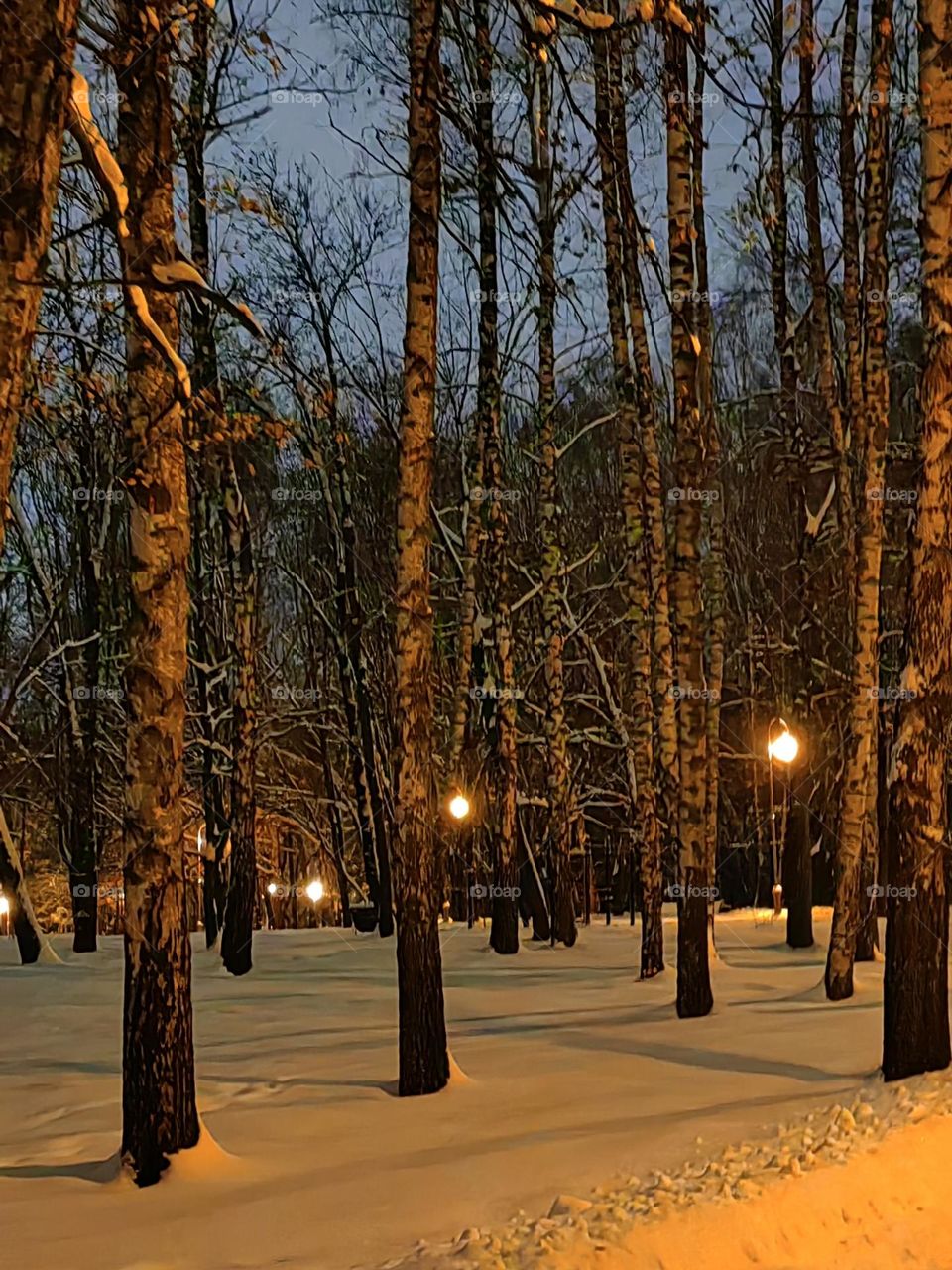 Зимний вечер