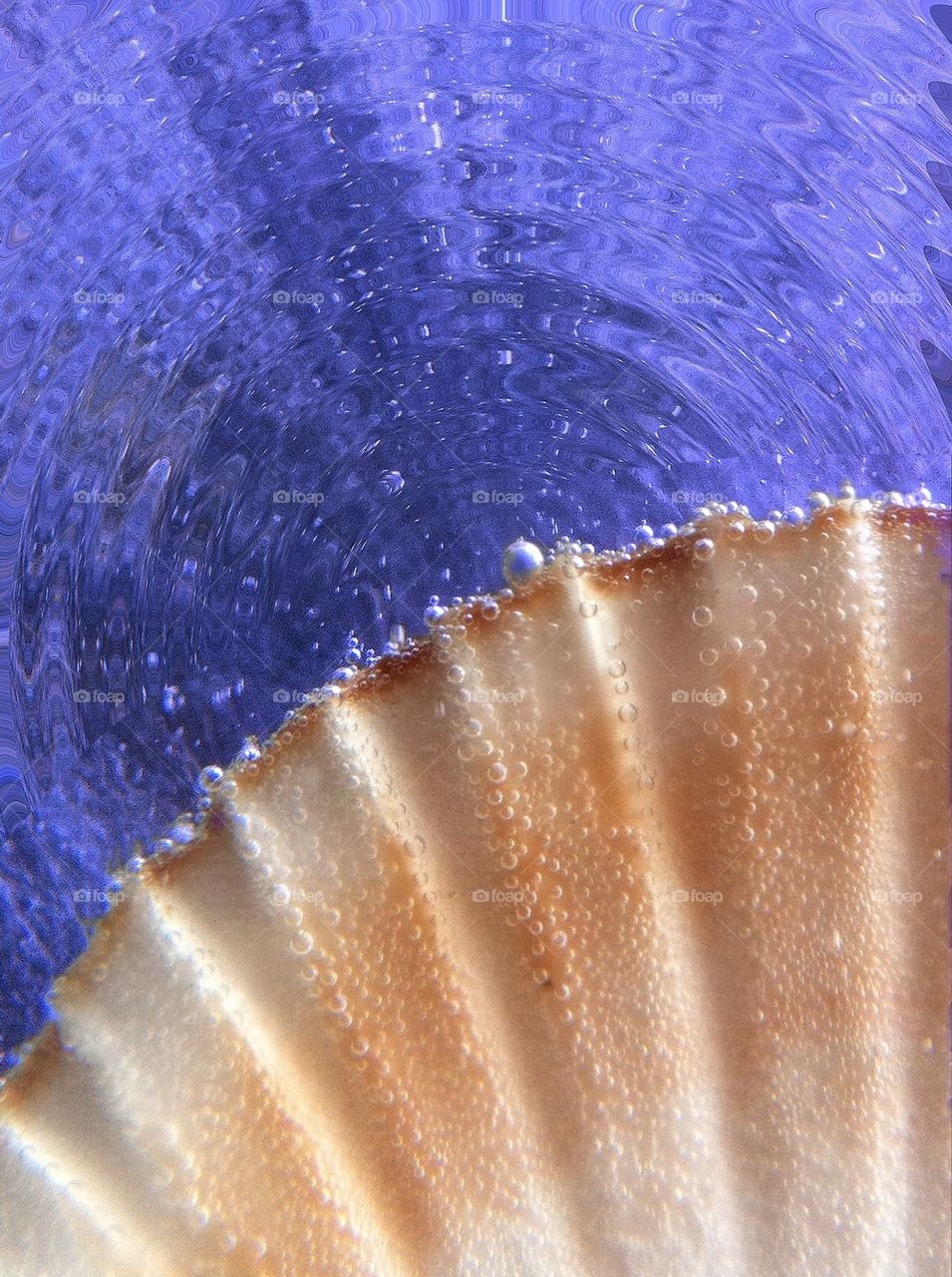 Shell there be bubbles?