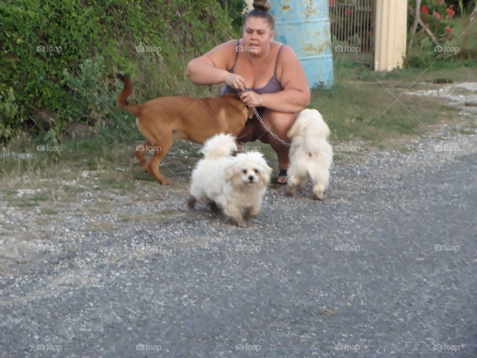 Woman and Her Pet Dogs