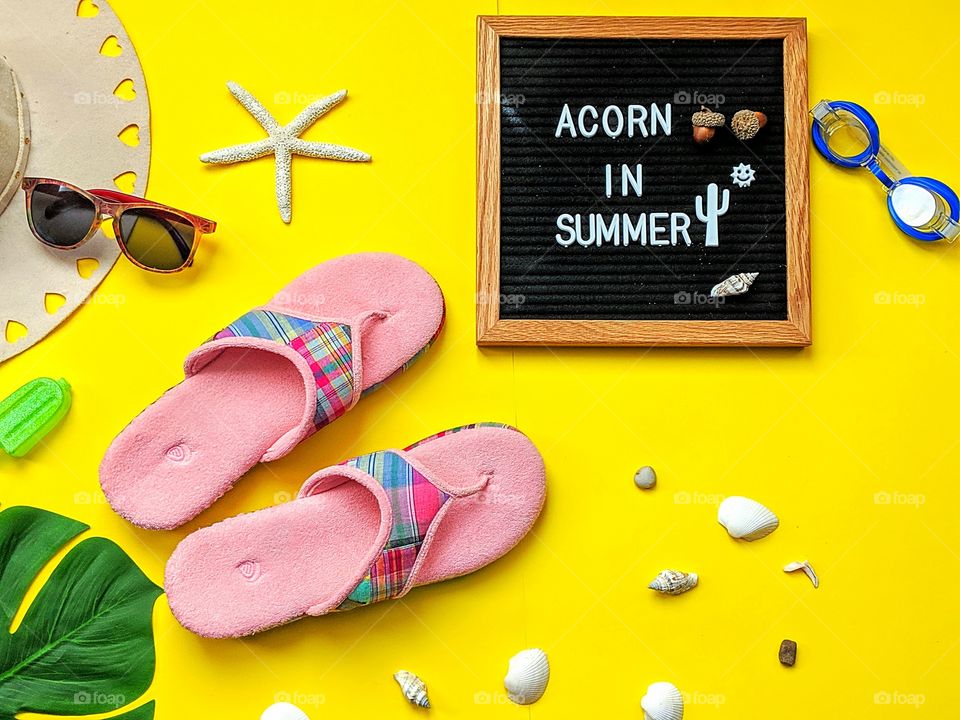 Perfect Summer with Acorn