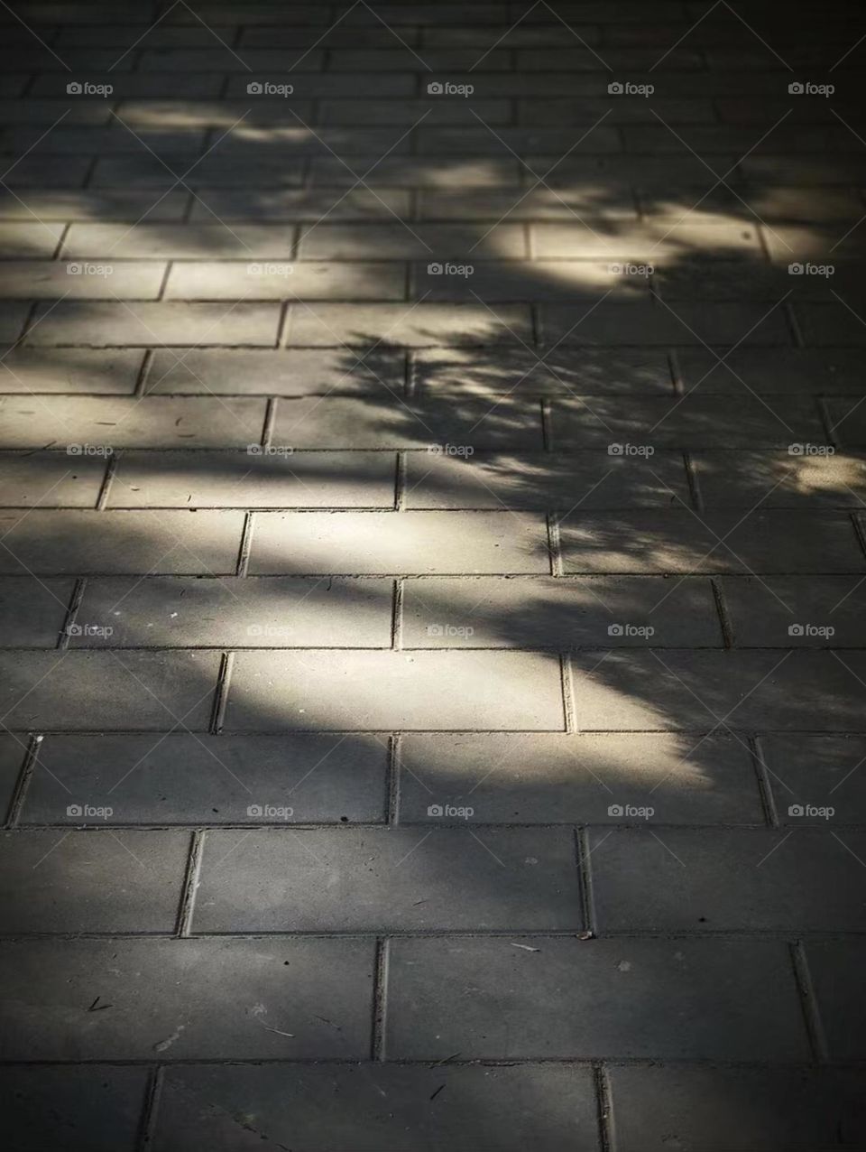 Light and shadow