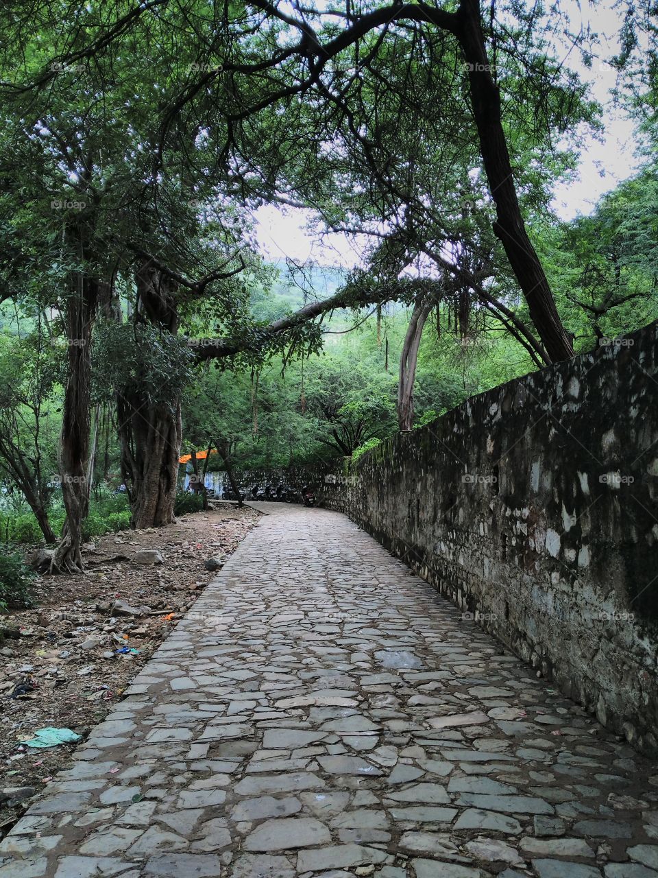 View of concrete path