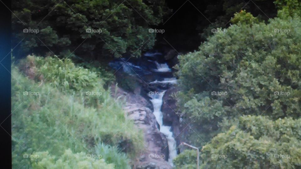  Road to Lahaina waterfall. In Maui for vacation