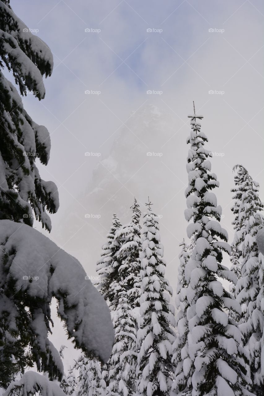 Winter in the Cascades