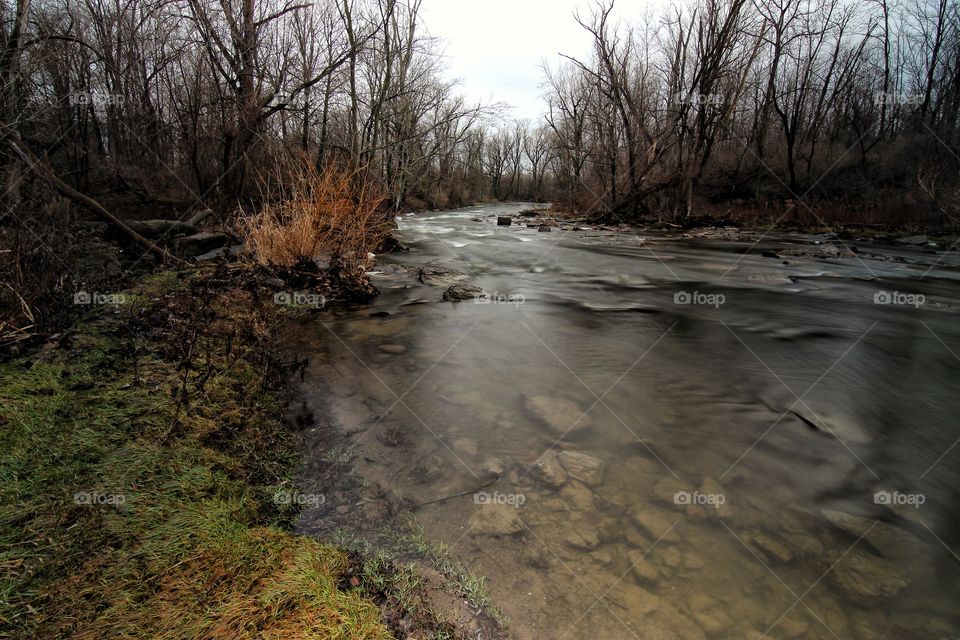 Ellicott creek