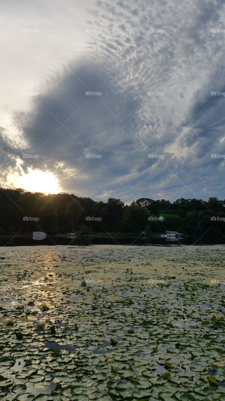 beauty of Keller park