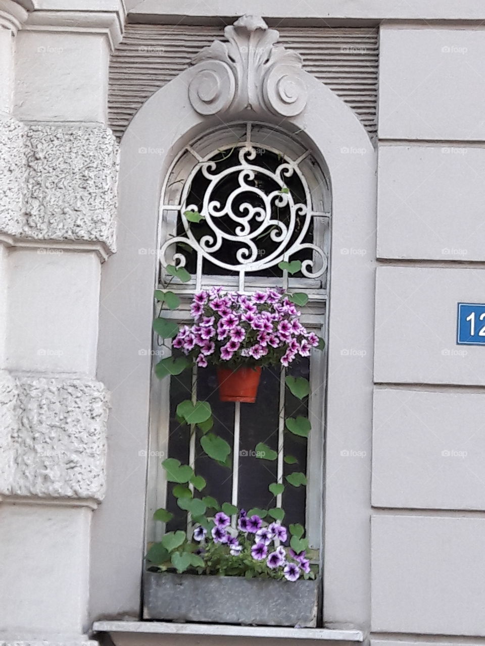 Window and Flowerd