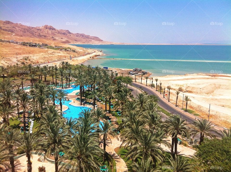 The Dead Sea