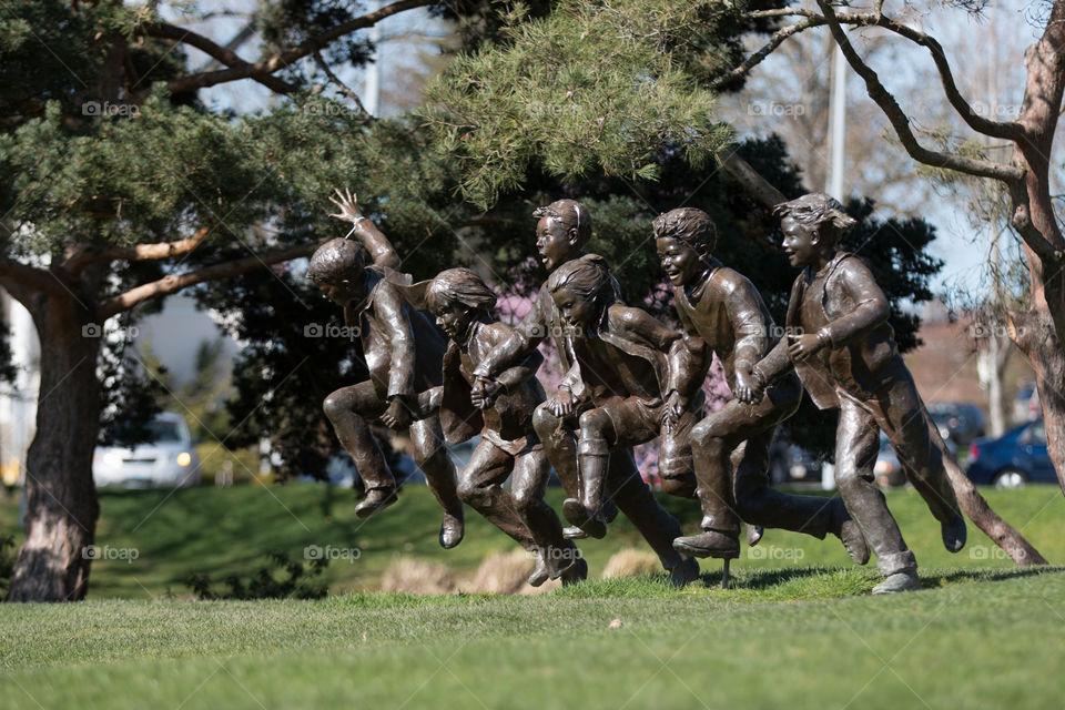 People, Competition, Tree, Group, Adult