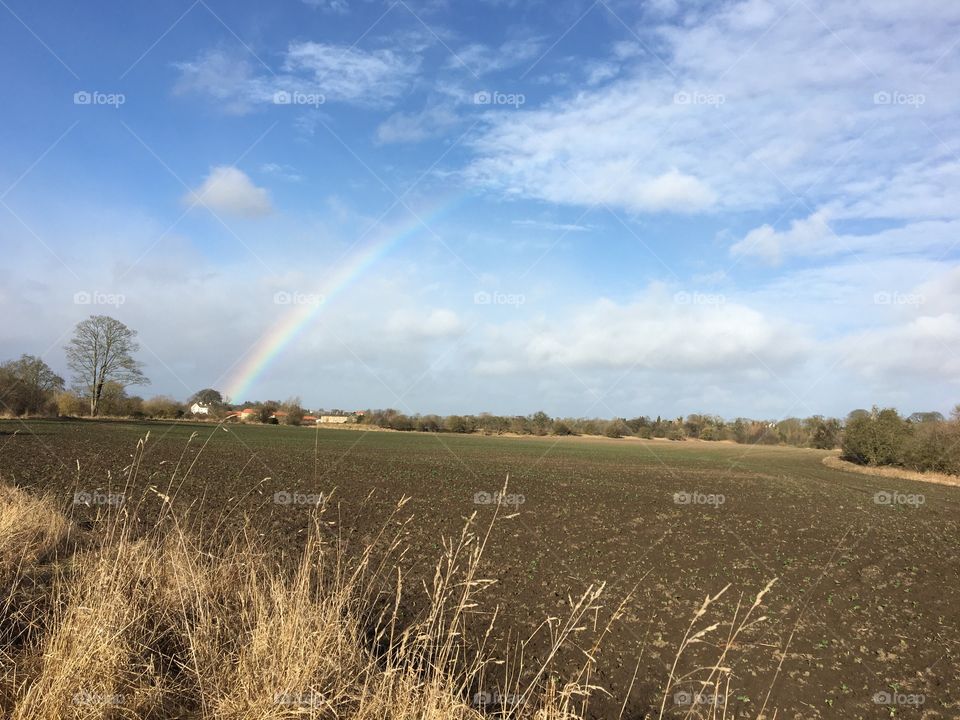 Today’s little rainbow 🌈