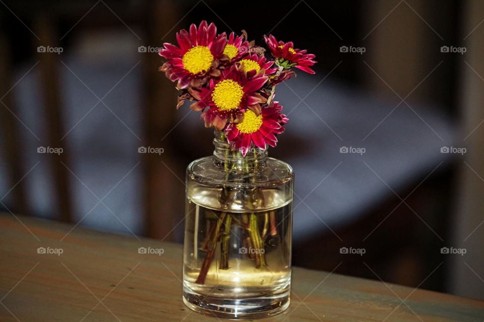 Flower in vase