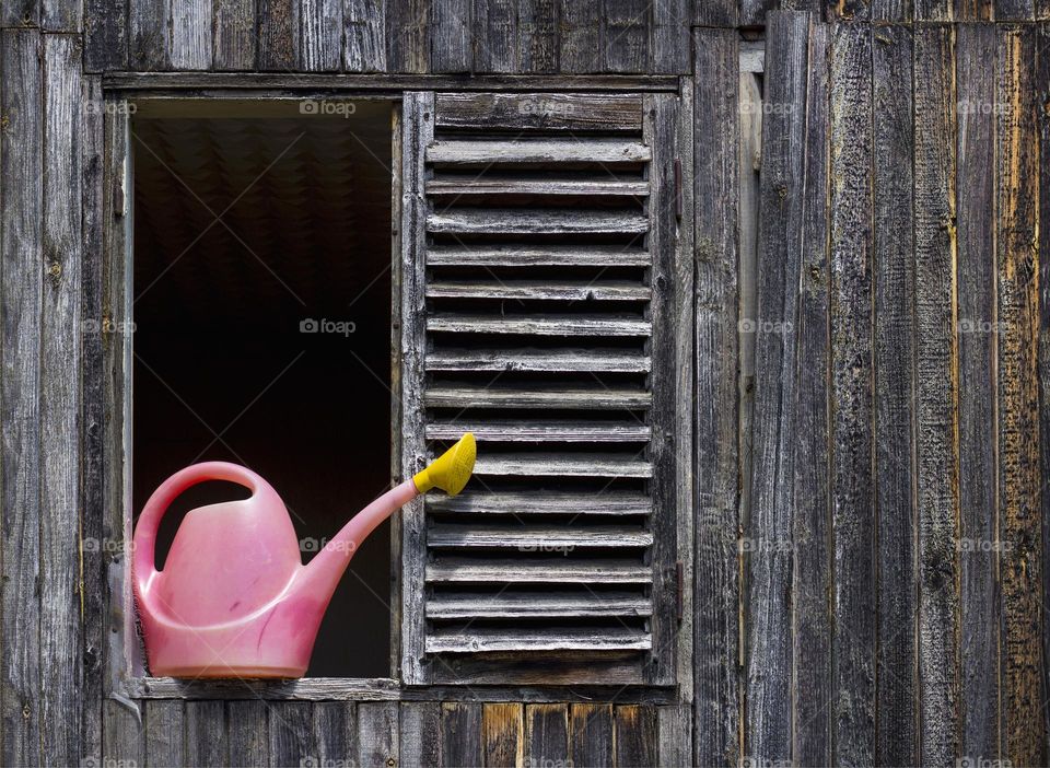 Pink watering can on the old window