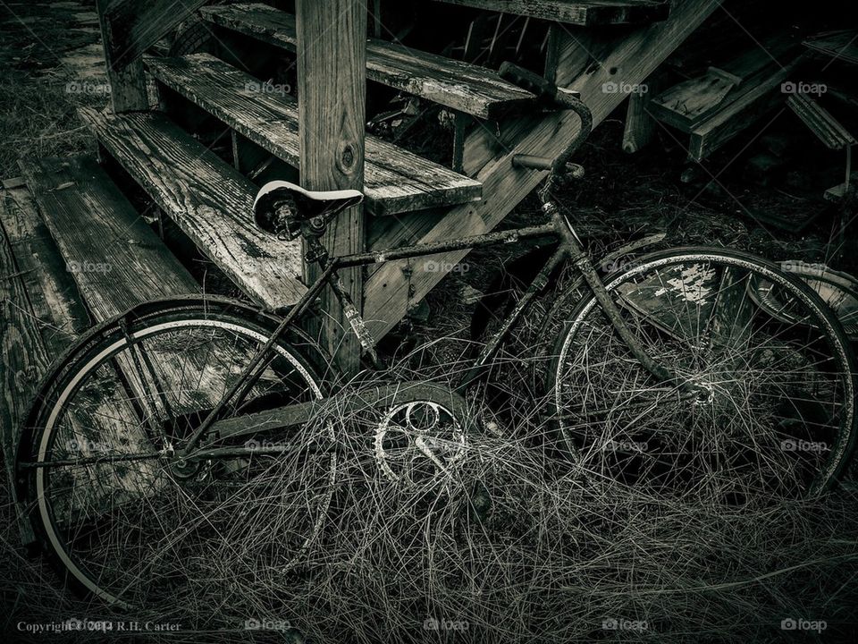 Bicycle In Weeds
