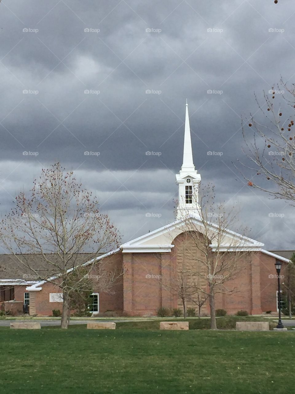 Tree, Branches, Nature, Stormy Weather, Sunshine in Rain. Church, Synagogue, Design, Pattern In the Dark. 