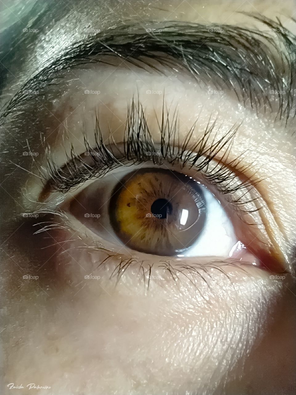 Brown eye