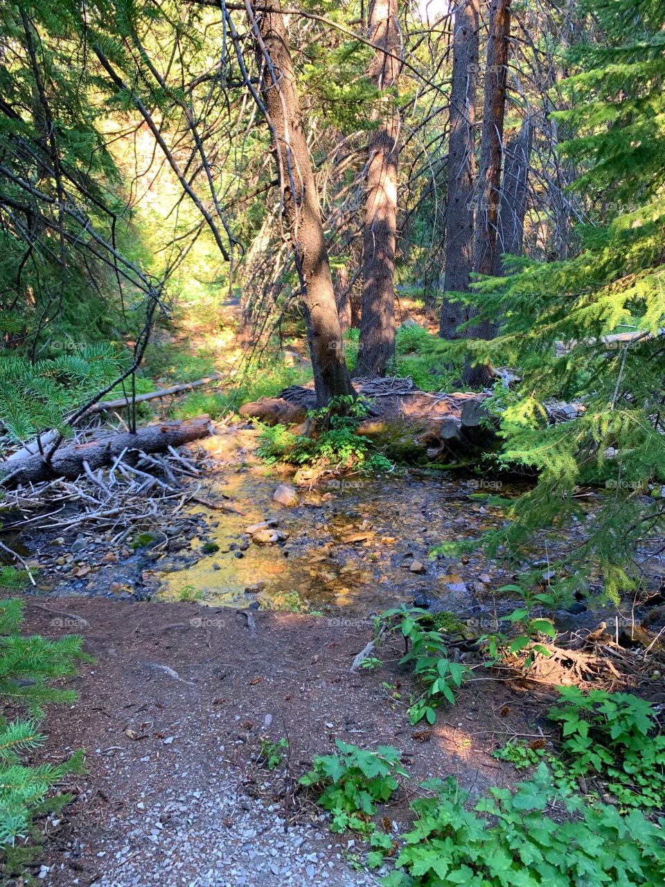 Some where in the timps!