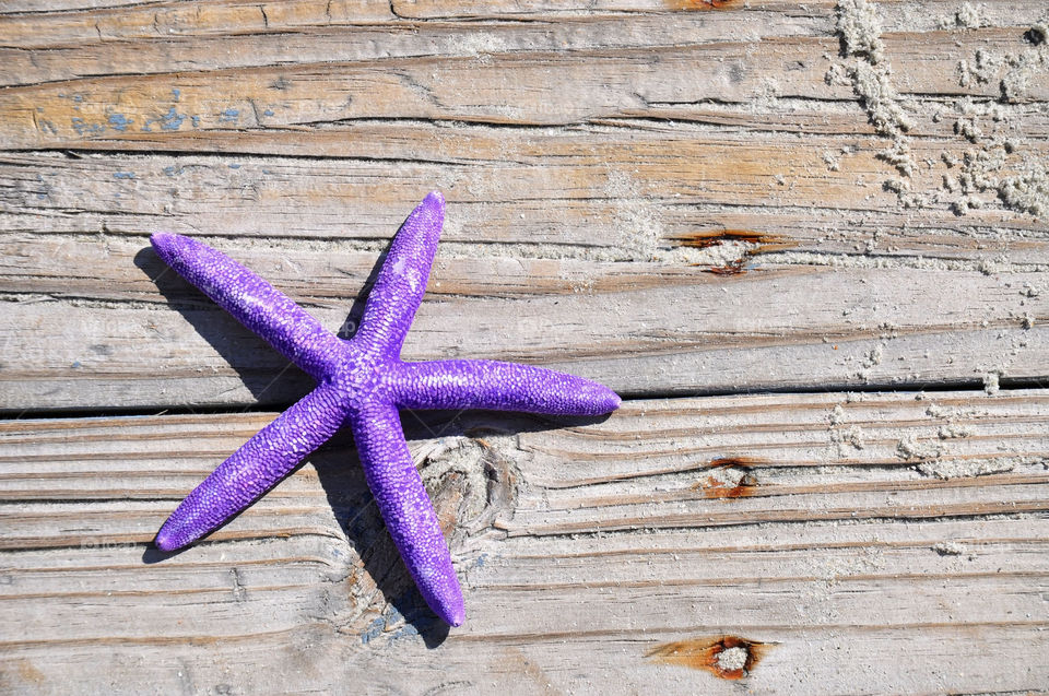 Starfish on Boardwalk. Beach travel concept.