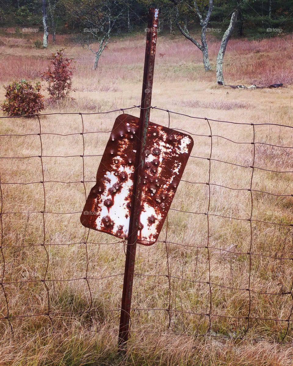 No Person, Retro, Wood, Nature, Empty