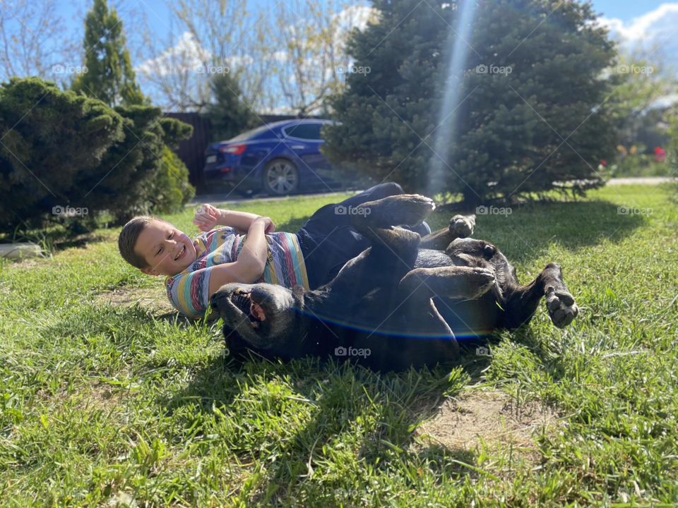 Boy playing with dog on the grass