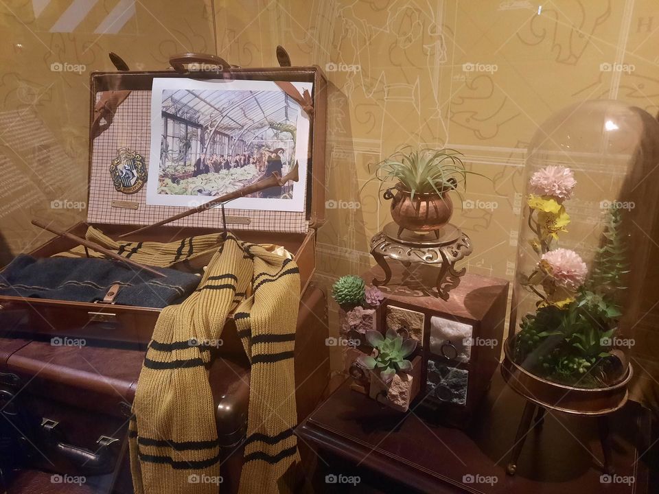 Harry Potter Hupplepuf