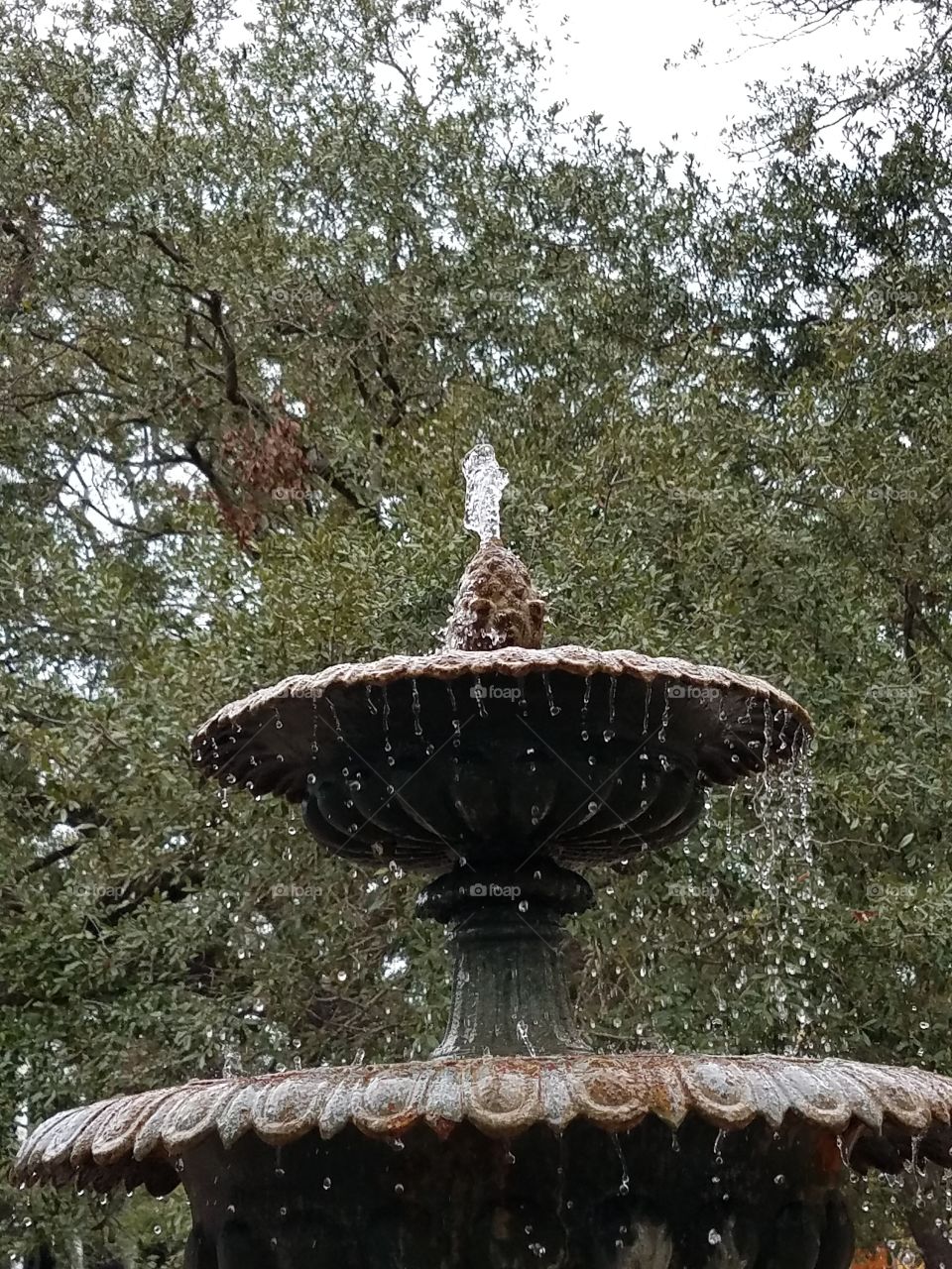 historic district,   Charleston,  SC, fountain