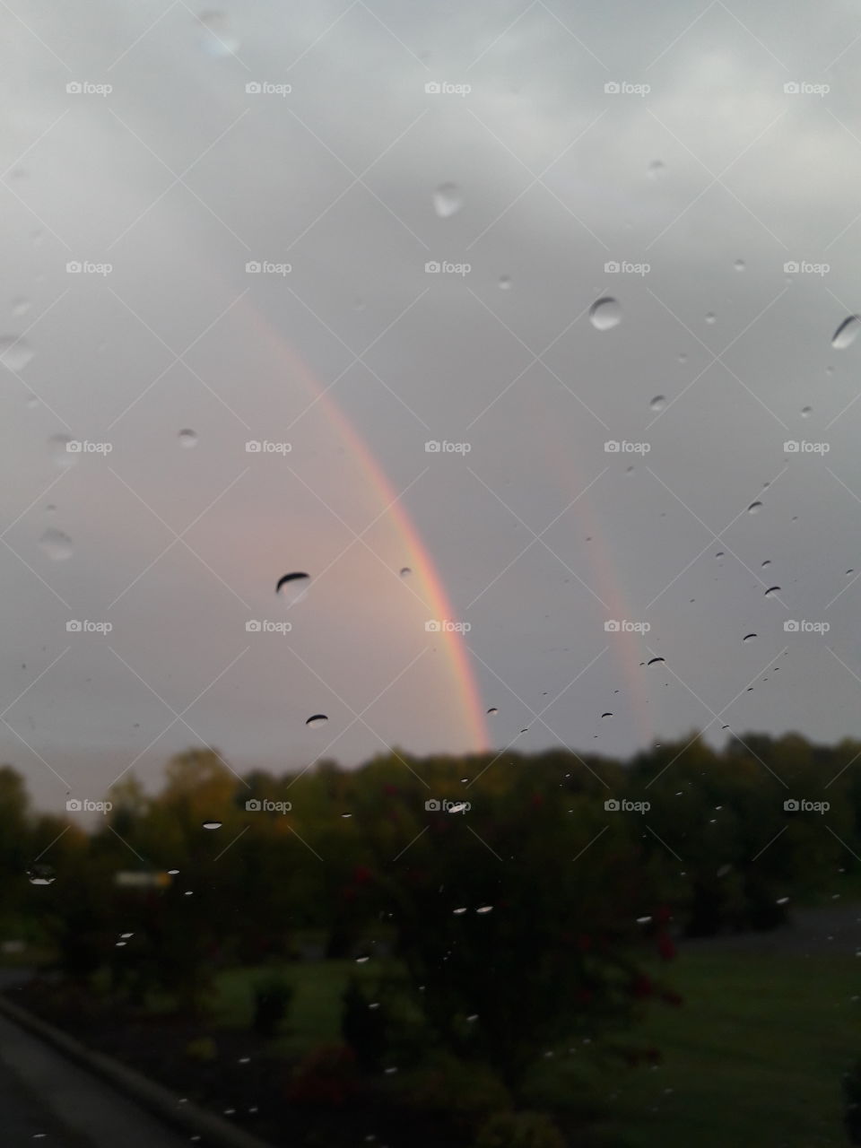 rainbow drops