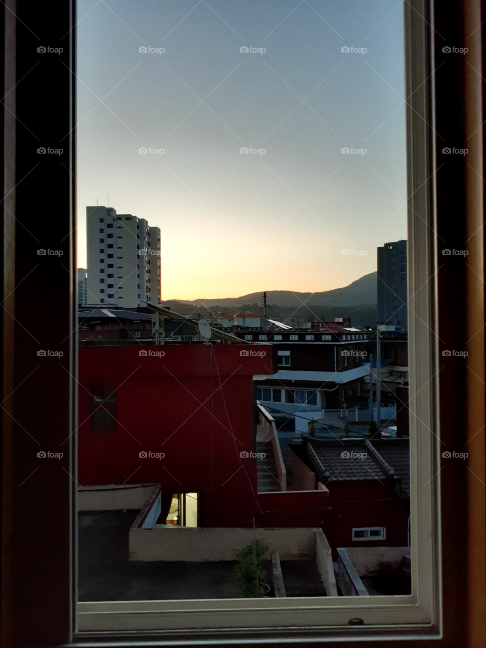 nature, true picture, no filter