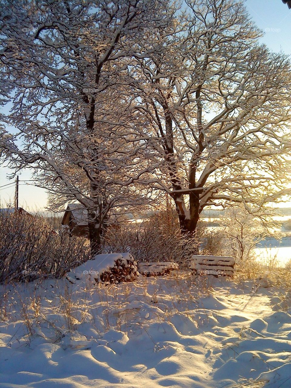 snow winter landscape sweden by rauschen