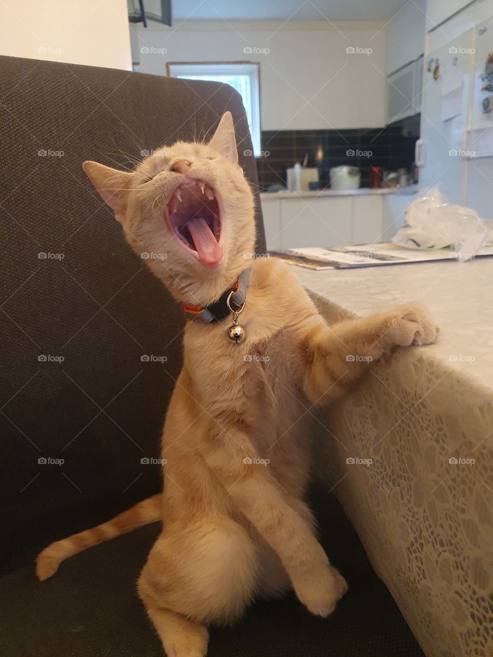 best yawn