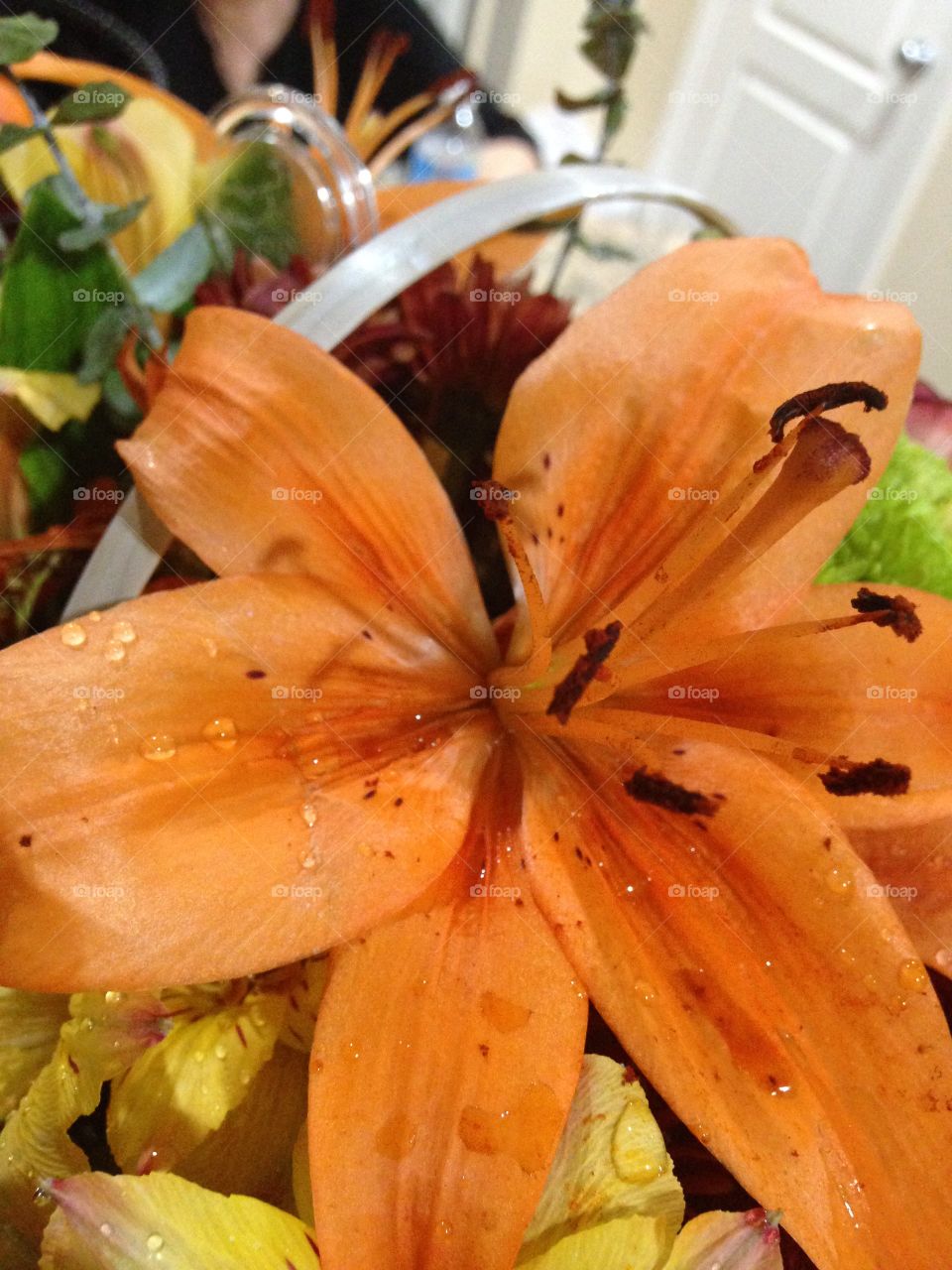 Orange. This flower is from a beautiful bouquet sent to my family in sympathy of my grandpa's passing.