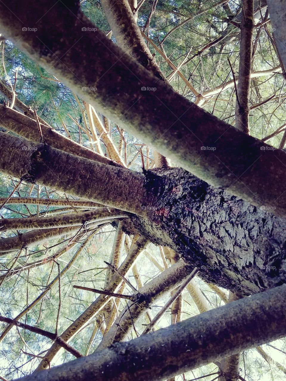 Life is a climb museum of art.