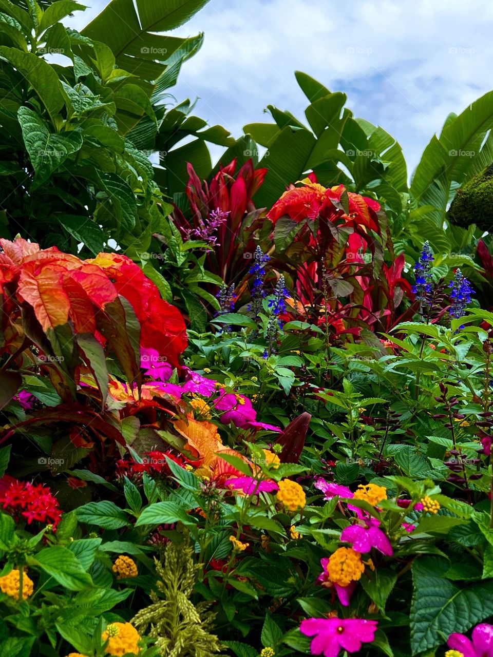 Spring Flowers