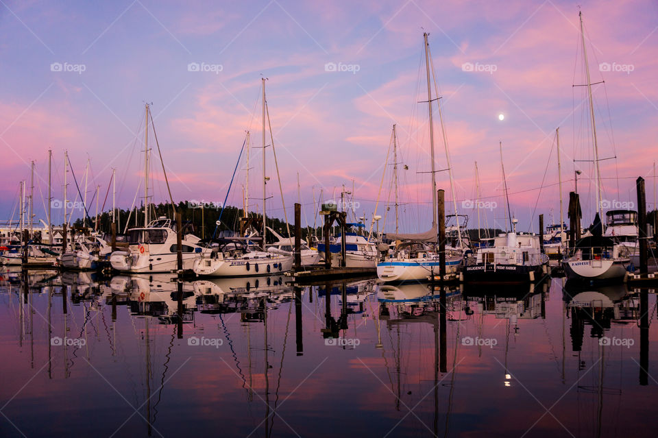 Friday Harbor