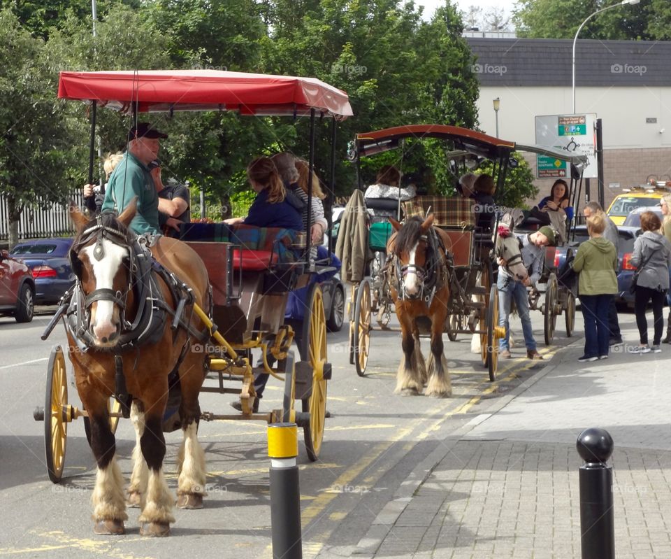 Killarney Carriages